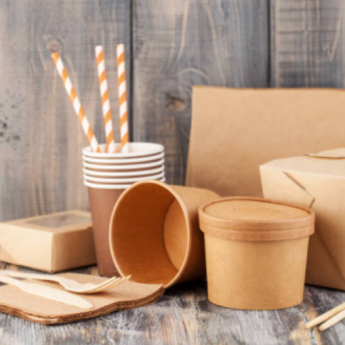 Disposable Tableware